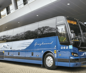 Greyhound Bus