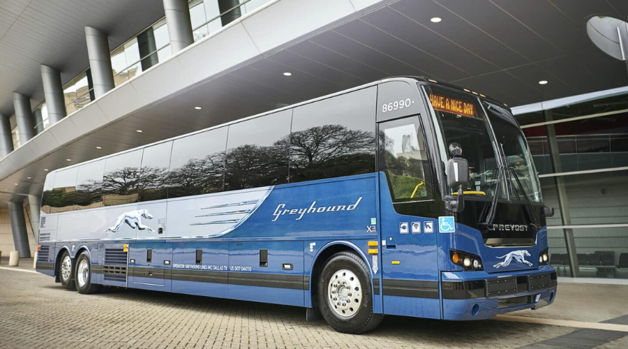 Greyhound Bus