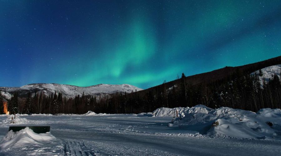 Adventures North of the Arctic Circle | Gurucent