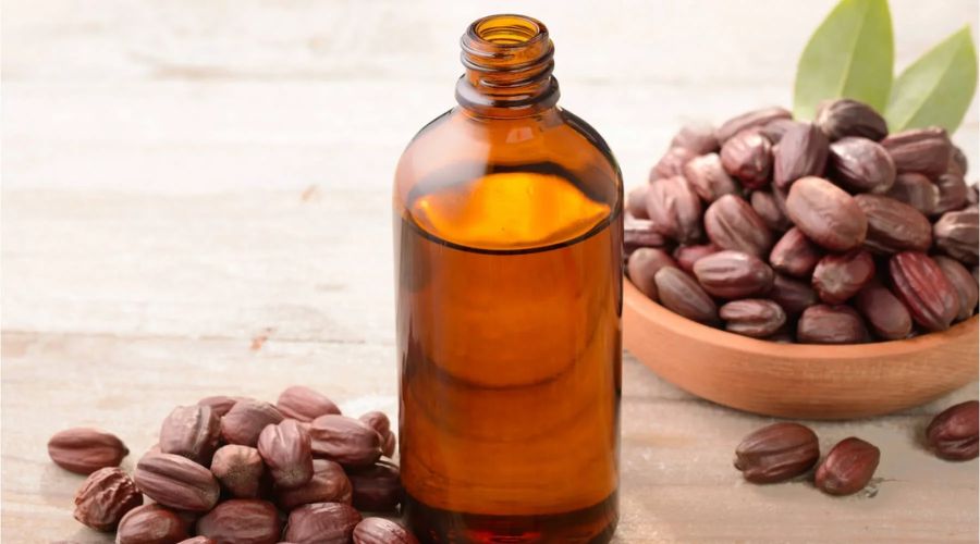 Jojoba Oil | Gurucent