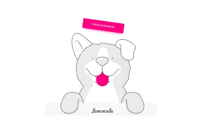 Pet Insurance For Your Furry Member