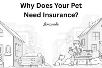 Pet Insurance Needed By Your Furry Member