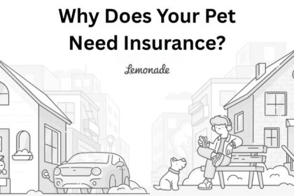 Pet Insurance Needed By Your Furry Member